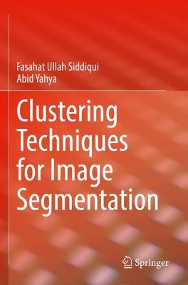 Clustering Techniques for Image Segmentation