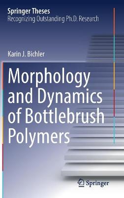 Morphology and Dynamics of Bottlebrush Polymers