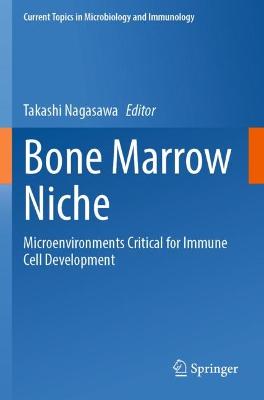 Bone Marrow Niche