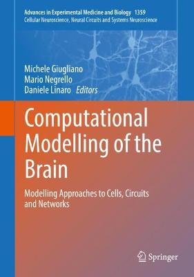 Computational Modelling of the Brain