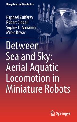 Between Sea and Sky: Aerial Aquatic Locomotion in Miniature Robots