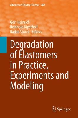 Degradation of Elastomers in Practice, Experiments and Modeling