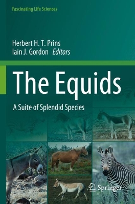 Equids