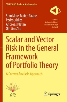 Scalar and Vector Risk in the General Framework of Portfolio Theory