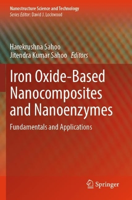 Iron Oxide-Based Nanocomposites and Nanoenzymes