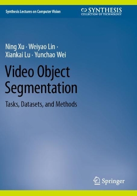 Video Object Segmentation