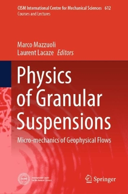 Physics of Granular Suspensions