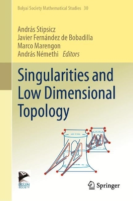 Singularities and Low Dimensional Topology