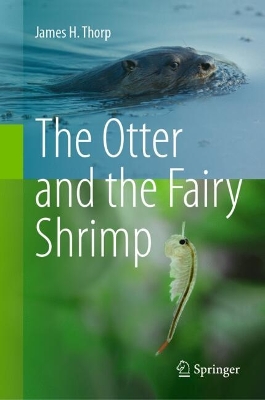 Otter and the Fairy Shrimp