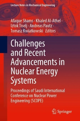 Challenges and Recent Advancements in Nuclear Energy Systems