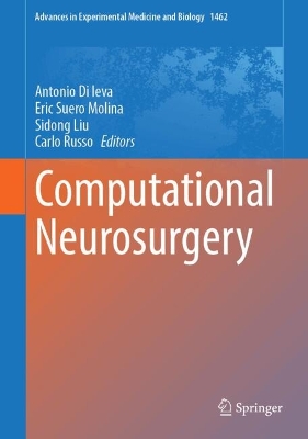 Computational Neurosurgery