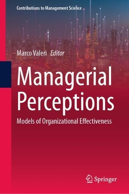 Managerial Perceptions