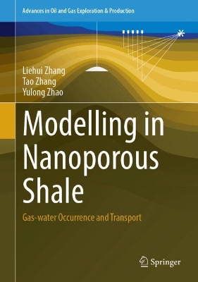 Modelling in Nanoporous Shale