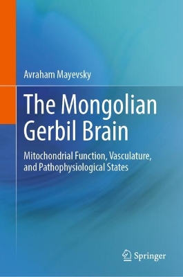 Mongolian Gerbil Brain