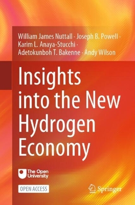 Insights into the New Hydrogen Economy