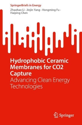 Hydrophobic Ceramic Membranes for CO2 Capture