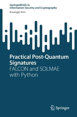 Practical Post-Quantum Signatures