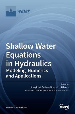 Shallow Water Equations in Hydraulics