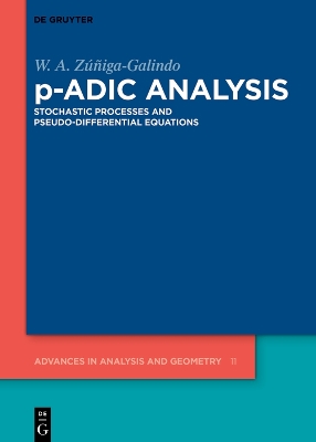 p-Adic Analysis