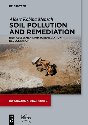 Soil Pollution and Remediation