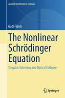 The Nonlinear Schroedinger Equation
