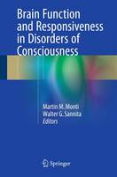 Brain Function and Responsiveness in Disorders of Consciousness