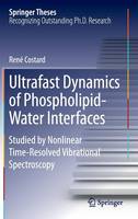 Ultrafast Dynamics of Phospholipid-Water Interfaces