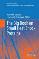 Big Book on Small Heat Shock Proteins