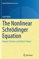 The Nonlinear Schroedinger Equation