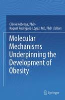 Molecular Mechanisms Underpinning the Development of Obesity