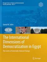 International Dimensions of Democratization in Egypt