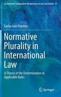 Normative Plurality in International Law