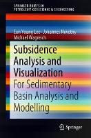 Subsidence Analysis and Visualization