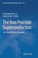 The Iron Pnictide Superconductors