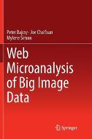 Web Microanalysis of Big Image Data