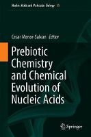 Prebiotic Chemistry and Chemical Evolution of Nucleic Acids
