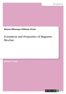 Formation and Properties of Magnetic Biochar
