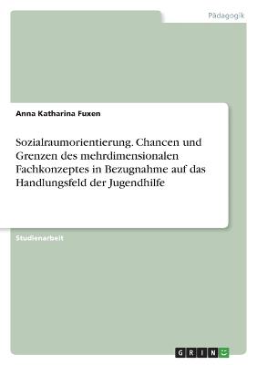 Sozialraumorientierung. Chancen und Grenzen des mehrdimensionalen Fachkonzeptes in Bezugnahme auf das Handlungsfeld der Jugendhilfe