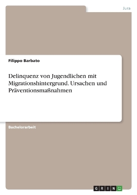 Delinquenz von Jugendlichen mit Migrationshintergrund. Ursachen und Praeventionsmassnahmen