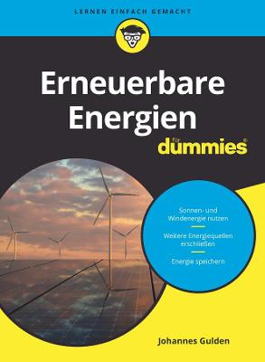 Erneuerbare Energien fuer Dummies