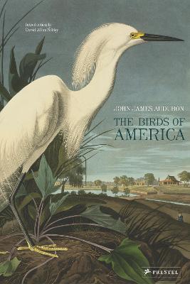 Birds of America