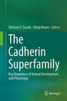 Cadherin Superfamily