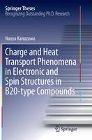 Charge and Heat Transport Phenomena in Electronic and Spin Structures in B20-type Compounds
