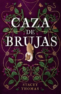 Caza de Brujas