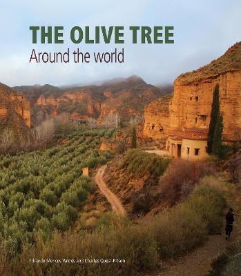 The Olive Tree