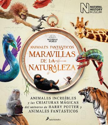 Animales fantasticos maravillas de la naturaleza / Fantastic Animals, Wonders of  Nature