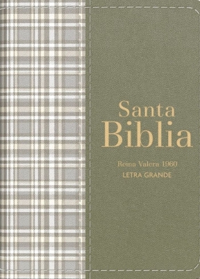 Biblia Rvr 1960 Compacta Simil Piel Cuadros Verde (Bible Rvr 1960 Compact Size Leatherlike Green Checked Pattern(spanish Edition)