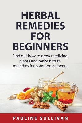 Herbal Remedies For Beginners