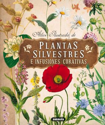 Atlas Ilustrado de Plantas Silvestres E Infusiones Curativas