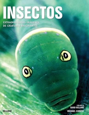 Insectos